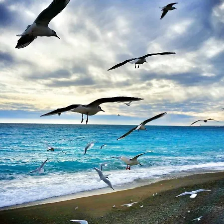 Colonna Istria شقة نيس